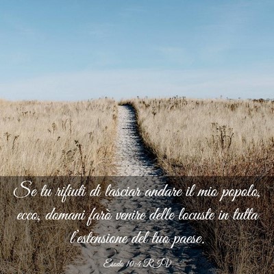 Picture 03 - Esodo 10:4 RIV - Se tu rifiuti di lasciar andare il mio popolo, - Bible Verse Picture