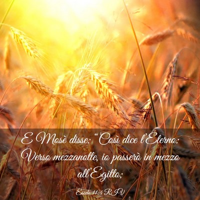 Picture 03 - Esodo 11:4 RIV - E Mosè disse: “Così dice l’Eterno: Verso - Bible Verse Picture