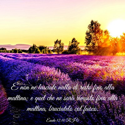 Picture 03 - Esodo 12:10 RIV - E non ne lasciate nulla di resto fino alla - Bible Verse Picture