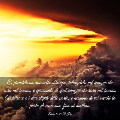 Picture 03 - Esodo 12:22 RIV - E prendete un mazzetto d’issopo, intingetelo - Bible Verse Picture