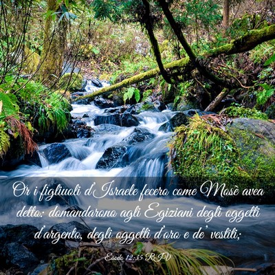 Picture 03 - Esodo 12:35 RIV - Or i figliuoli d’Israele fecero come Mosè avea - Bible Verse Picture