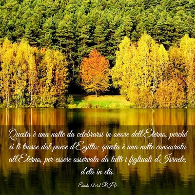 Picture 03 - Esodo 12:42 RIV - Questa è una notte da celebrarsi in onore - Bible Verse Picture
