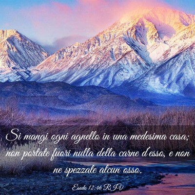 Picture 03 - Esodo 12:46 RIV - Si mangi ogni agnello in una medesima casa; non - Bible Verse Picture