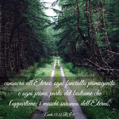 Picture 03 - Esodo 13:12 RIV - consacra all’Eterno ogni fanciullo primogenito - Bible Verse Picture