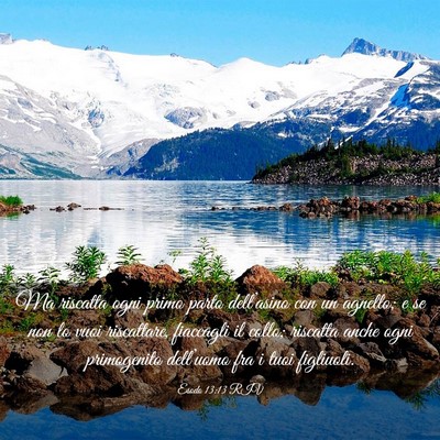 Picture 03 - Esodo 13:13 RIV - Ma riscatta ogni primo parto dell’asino con un - Bible Verse Picture