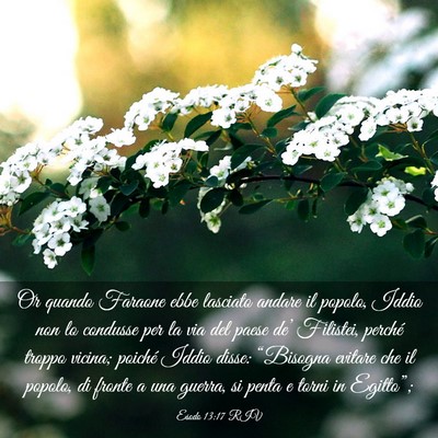 Picture 03 - Esodo 13:17 RIV - Or quando Faraone ebbe lasciato andare il popolo, - Bible Verse Picture