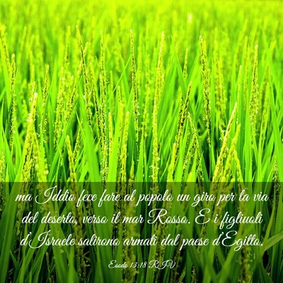 Picture 03 - Esodo 13:18 RIV - ma Iddio fece fare al popolo un giro per la via - Bible Verse Picture