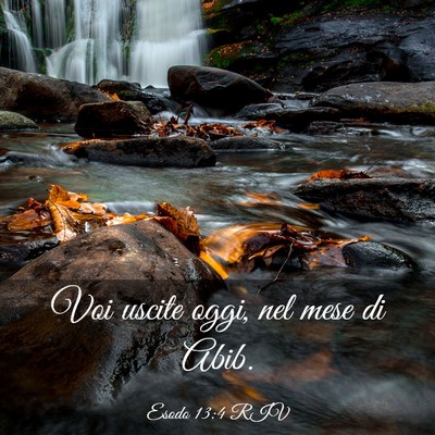 Picture 03 - Esodo 13:4 RIV - Voi uscite oggi, nel mese di - Bible Verse Picture