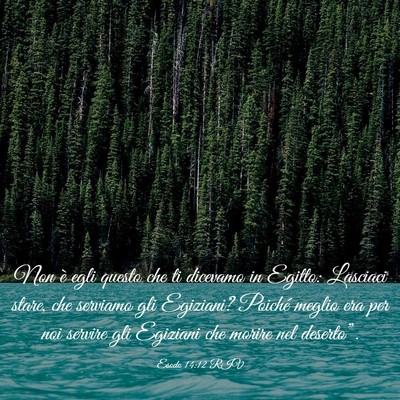 Picture 03 - Esodo 14:12 RIV - Non è egli questo che ti dicevamo in Egitto: - Bible Verse Picture