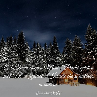 Picture 03 - Esodo 14:15 RIV - E l’Eterno disse a Mosè: “Perché gridi a - Bible Verse Picture