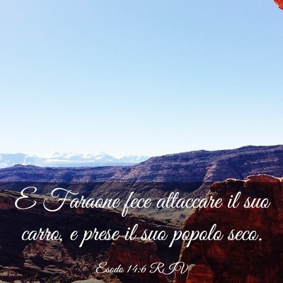 Picture 03 - Esodo 14:6 RIV - E Faraone fece attaccare il suo carro, e prese il - Bible Verse Picture
