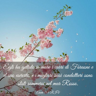 Picture 03 - Esodo 15:4 RIV - Egli ha gettato in mare i carri di Faraone e il - Bible Verse Picture