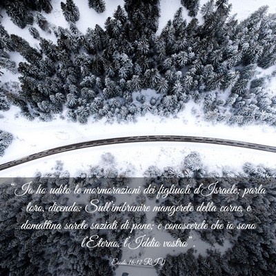 Picture 03 - Esodo 16:12 RIV - “Io ho udito le mormorazioni dei figliuoli - Bible Verse Picture