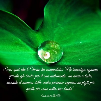 Picture 03 - Esodo 16:16 RIV - Ecco quel che l’Eterno ha comandato: Ne - Bible Verse Picture
