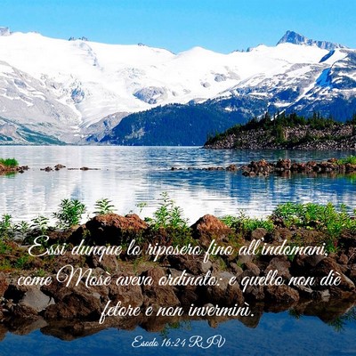 Picture 03 - Esodo 16:24 RIV - Essi dunque lo riposero fino all’indomani, come - Bible Verse Picture