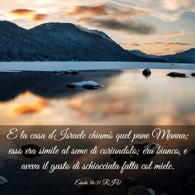 Picture 03 - Esodo 16:31 RIV - E la casa d’Israele chiamò quel pane Manna; - Bible Verse Picture