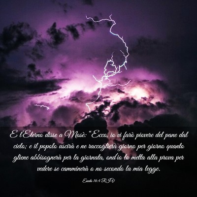 Picture 03 - Esodo 16:4 RIV - E l’Eterno disse a Mosè: “Ecco, io vi farò - Bible Verse Picture