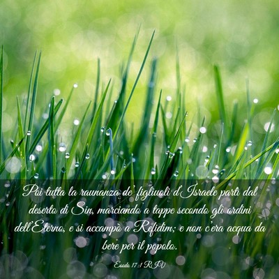Picture 03 - Esodo 17:1 RIV - Poi tutta la raunanza de’ figliuoli d’Israele - Bible Verse Picture