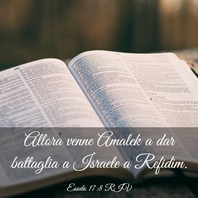 Picture 03 - Esodo 17:8 RIV - Allora venne Amalek a dar battaglia a Israele a - Bible Verse Picture