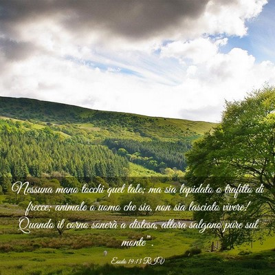 Picture 03 - Esodo 19:13 RIV - Nessuna mano tocchi quel tale; ma sia lapidato o - Bible Verse Picture
