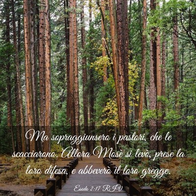 Picture 03 - Esodo 2:17 RIV - Ma sopraggiunsero i pastori, che le scacciarono. - Bible Verse Picture