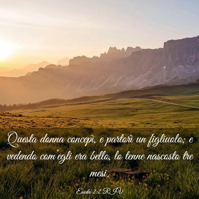 Picture 03 - Esodo 2:2 RIV - Questa donna concepì, e partorì un figliuolo; e - Bible Verse Picture