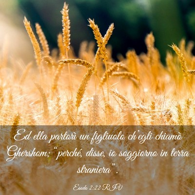 Picture 03 - Esodo 2:22 RIV - Ed ella partorì un figliuolo ch’egli chiamò - Bible Verse Picture
