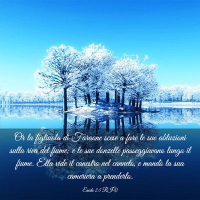 Picture 03 - Esodo 2:5 RIV - Or la figliuola di Faraone scese a fare le sue - Bible Verse Picture
