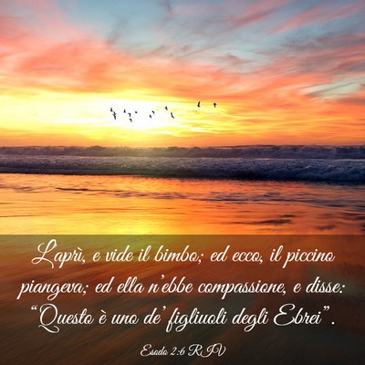 Picture 03 - Esodo 2:6 RIV - L’aprì, e vide il bimbo; ed ecco, il piccino - Bible Verse Picture