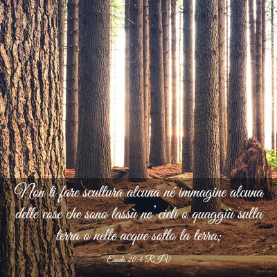 Picture 03 - Esodo 20:4 RIV - Non ti fare scultura alcuna né immagine alcuna - Bible Verse Picture