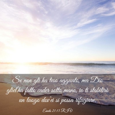 Picture 03 - Esodo 21:13 RIV - Se non gli ha teso agguato, ma Dio gliel’ha - Bible Verse Picture