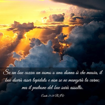 Picture 03 - Esodo 21:28 RIV - Se un bue cozza un uomo o una donna sì che - Bible Verse Picture
