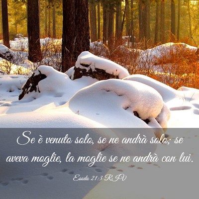 Picture 03 - Esodo 21:3 RIV - Se è venuto solo, se ne andrà solo; se aveva - Bible Verse Picture