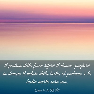 Picture 03 - Esodo 21:34 RIV - il padron della fossa rifarà il danno: pagherà - Bible Verse Picture