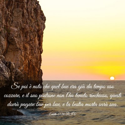 Picture 03 - Esodo 21:36 RIV - Se poi è noto che quel bue era già da tempo uso - Bible Verse Picture