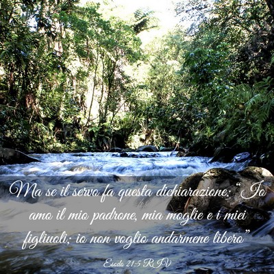 Picture 03 - Esodo 21:5 RIV - Ma se il servo fa questa dichiarazione: “Io amo - Bible Verse Picture
