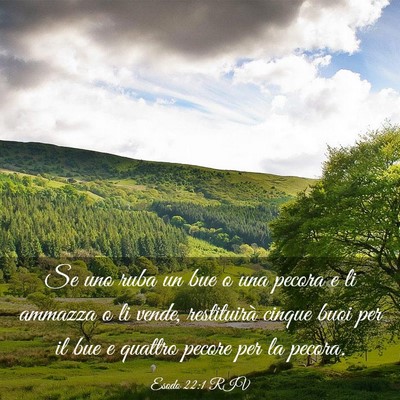 Picture 03 - Esodo 22:1 RIV - Se uno ruba un bue o una pecora e li ammazza o li - Bible Verse Picture