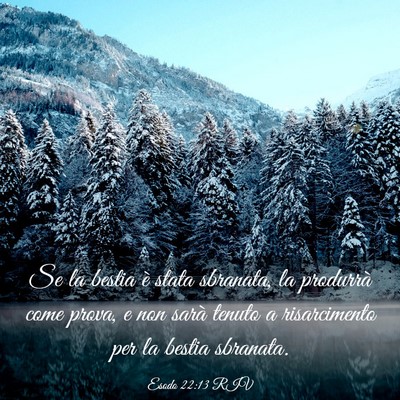 Picture 03 - Esodo 22:13 RIV - Se la bestia è stata sbranata, la produrrà come - Bible Verse Picture