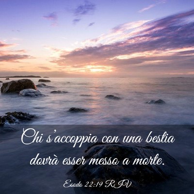 Picture 03 - Esodo 22:19 RIV - Chi s’accoppia con una bestia dovrà esser - Bible Verse Picture