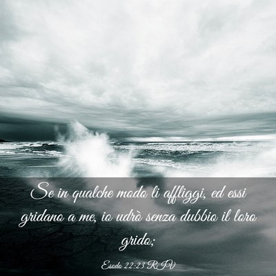 Picture 03 - Esodo 22:23 RIV - Se in qualche modo li affliggi, ed essi gridano a - Bible Verse Picture