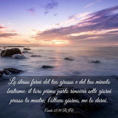 Picture 03 - Esodo 22:30 RIV - Lo stesso farai del tuo grosso e del tuo minuto - Bible Verse Picture
