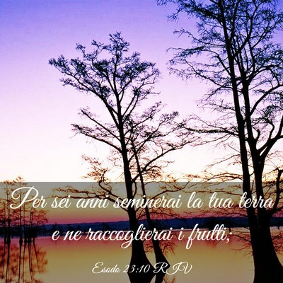 Picture 03 - Esodo 23:10 RIV - Per sei anni seminerai la tua terra e ne - Bible Verse Picture