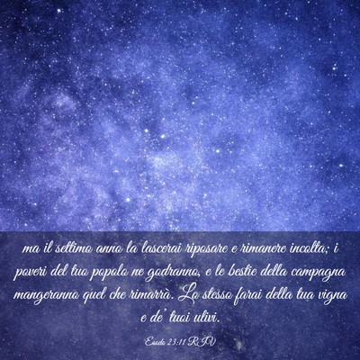 Picture 03 - Esodo 23:11 RIV - ma il settimo anno la lascerai riposare e - Bible Verse Picture