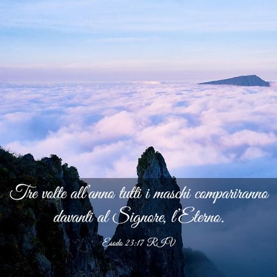 Picture 03 - Esodo 23:17 RIV - Tre volte all’anno tutti i maschi compariranno - Bible Verse Picture