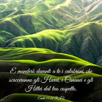 Picture 03 - Esodo 23:28 RIV - E manderò davanti a te i calabroni, che - Bible Verse Picture
