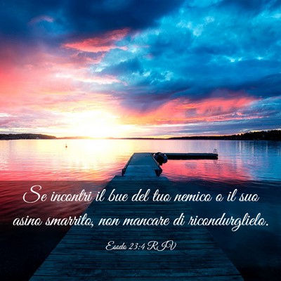 Picture 03 - Esodo 23:4 RIV - Se incontri il bue del tuo nemico o il suo asino - Bible Verse Picture