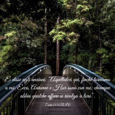 Picture 03 - Esodo 24:14 RIV - E disse agli anziani: “Aspettateci qui, finché - Bible Verse Picture