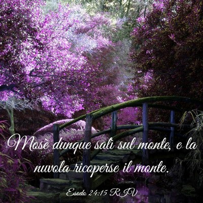 Picture 03 - Esodo 24:15 RIV - Mosè dunque salì sul monte, e la nuvola - Bible Verse Picture