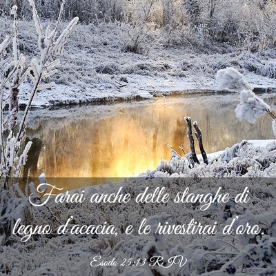 Picture 03 - Esodo 25:13 RIV - Farai anche delle stanghe di legno d’acacia, e - Bible Verse Picture