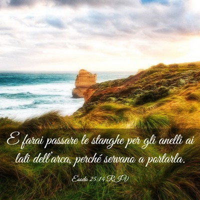 Picture 03 - Esodo 25:14 RIV - E farai passare le stanghe per gli anelli ai lati - Bible Verse Picture